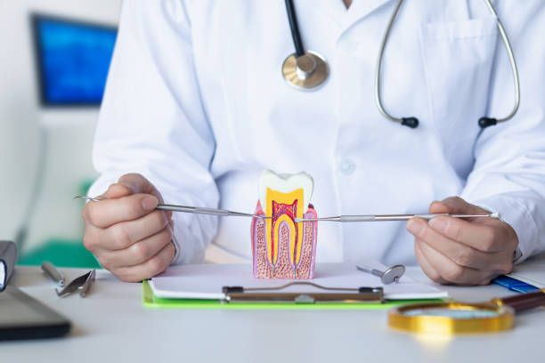 Best Emergency Tooth Extraction  in Broadview Heights, OH